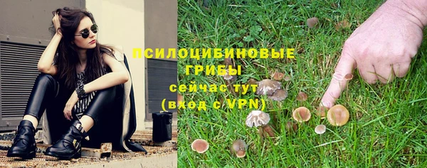 герыч Бронницы
