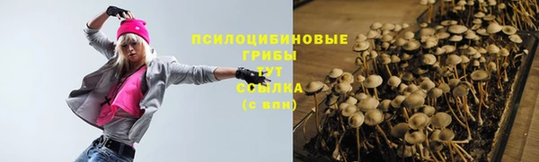 герыч Бронницы