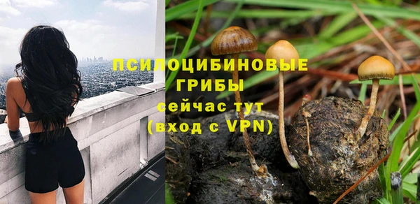 герыч Бронницы