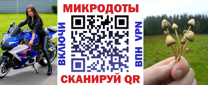 Псилоцибиновые грибы ЛСД  Купить закладки  Дигора 
