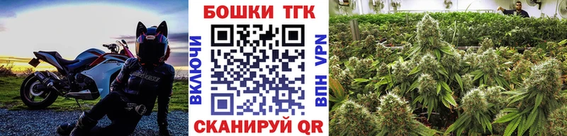 Купить закладки  Дигора  Каннабис сатива 